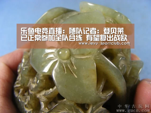 乐鱼真人娱乐