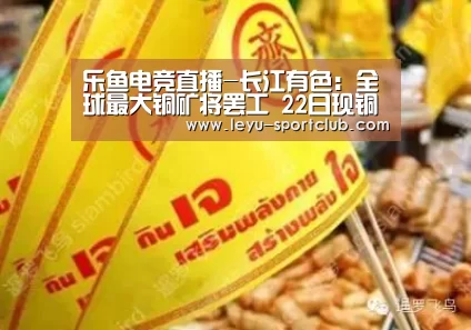 乐鱼电竞直播-长江有色:全球最大铜矿将罢工 22日现铜或小涨(图1) 乐鱼体育