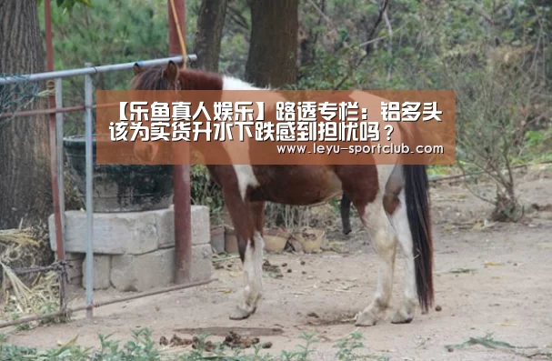 乐鱼登录入口