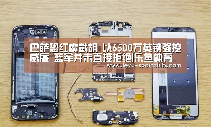 乐鱼登录入口