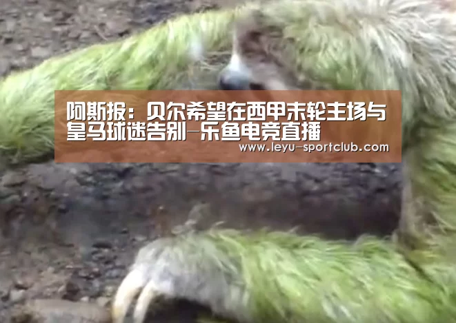 阿斯报:贝尔希望在西甲末轮主场与皇马球迷告别-乐鱼电竞直播(图2) 乐鱼登录入口