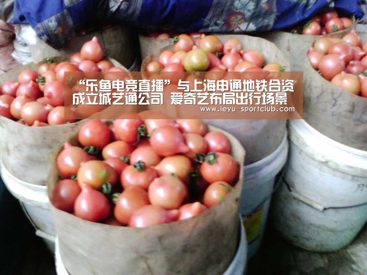 乐鱼电竞直播