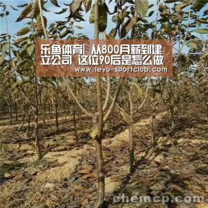 乐鱼体育|
从800月薪到建立公司 这位90后是怎么做到的?(图2) 乐鱼真人娱乐