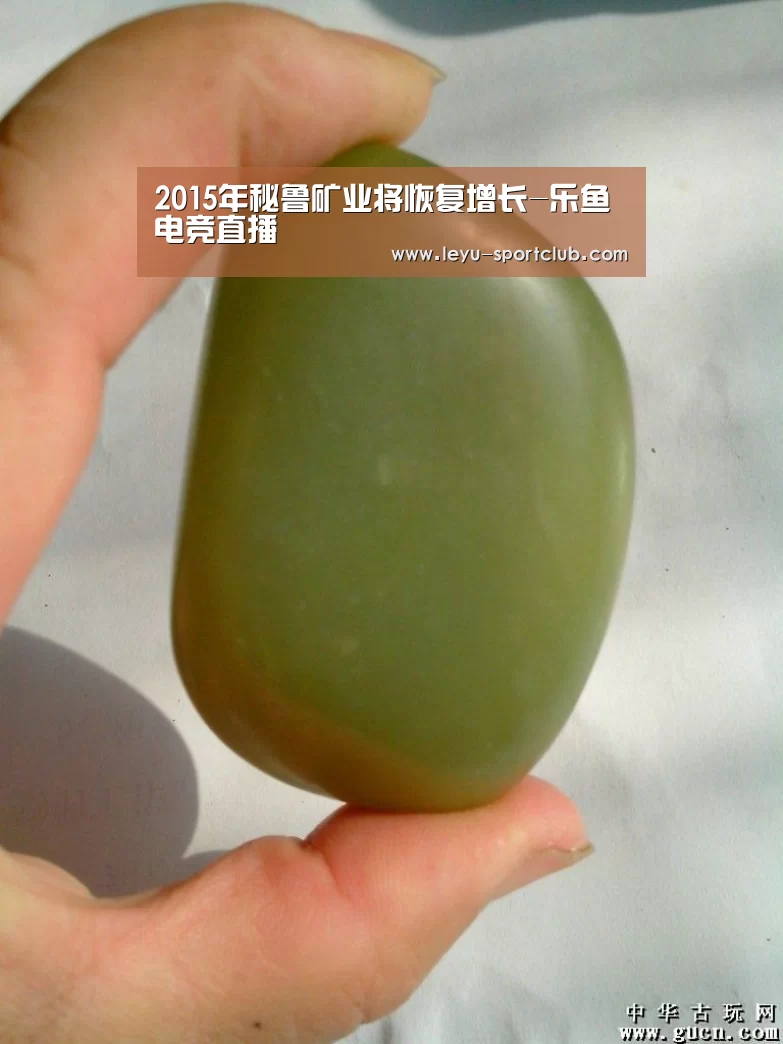 2015年秘鲁矿业将恢复增长-乐鱼电竞直播(图4) 乐鱼体育