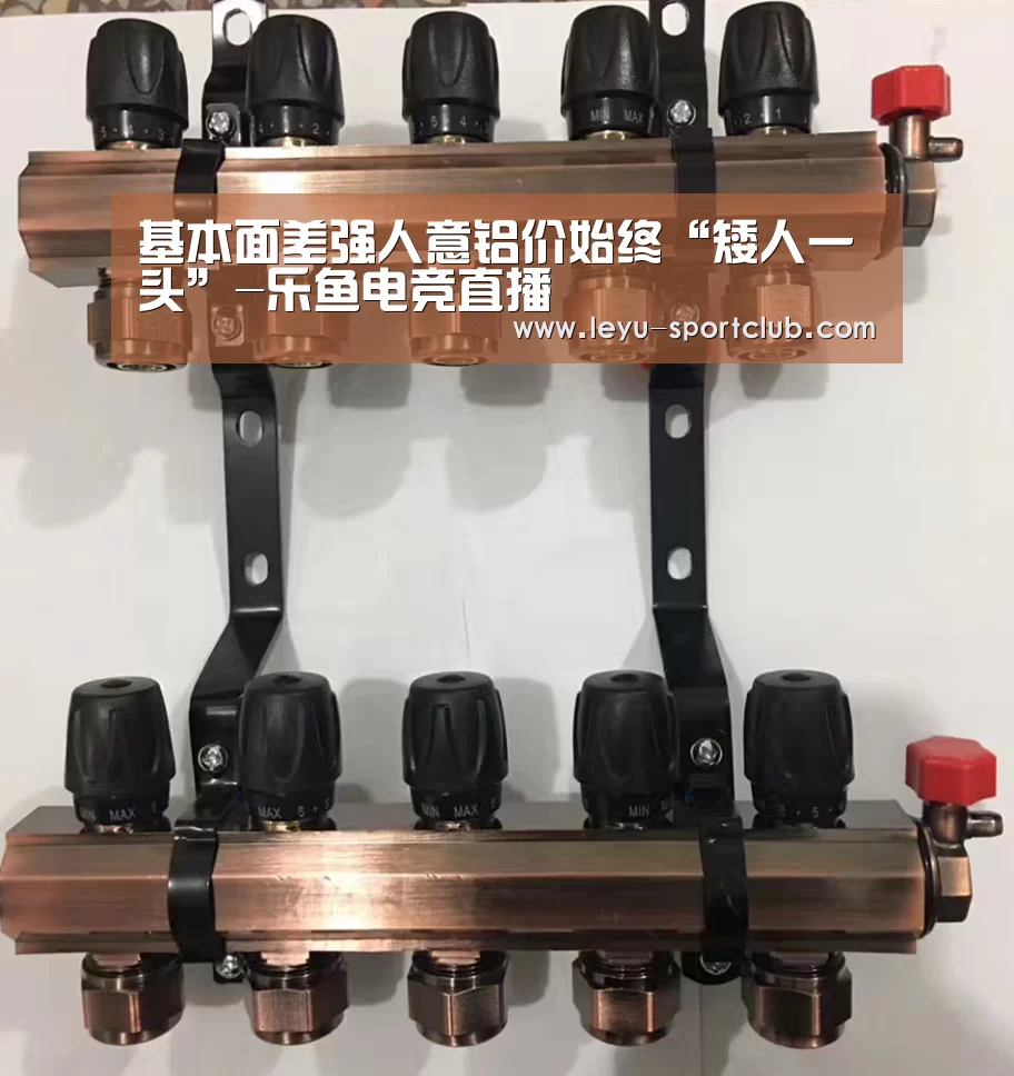 基本面差强人意铝价始终“矮人一头”-乐鱼电竞直播(图1) 乐鱼电竞直播